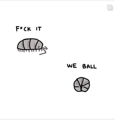 Roly-poly creatures curl into balls with the defeatist declaration "fuck it, we ball" — a minimalist meme on resignation and absurdist thriving.