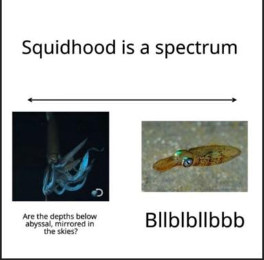 Two squid species compared along an existential spectrum: a bioluminescent deep-sea creature asks philosophical questions about cosmic reflection, while a tiny reef squid simply babbles.
