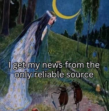 Romantic fairy-tale forest scene paired with deadpan caption about trusting insects as a news source—a Gen-Z media cynicism meme.