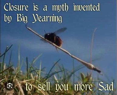 A solitary bird perches on a branch at dusk, framed by serif text mocking the commercialization of closure.