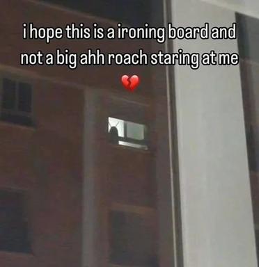 A blurry interior shot with a softly focused doorway overlaid with a self-aware meme caption about confusing everyday objects with insects, complete with a broken-heart emoji.