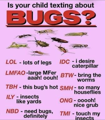 Parody PSA warning parents about "bug-related" teen texting slang, where every acronym puns on insects rather than internet speech — the joke is the double-take and absurdist reframing of parental concern.