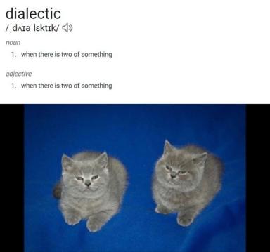 Dictionary entry for "dialectic" illustrated with two gray cats facing each other against a deep blue background—a visual joke on the philosophical concept's meaning.