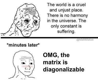 Nihilism walks into a math class — existential crisis solved by linear algebra