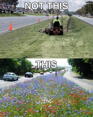 A two-panel contrast meme critiquing highway landscaping: grim mowed monoculture vs. a lush wildflower meadow.
