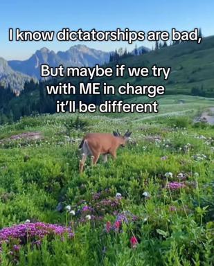 A goat in an Alpine wildflower meadow proposes itself as a benevolent alternative to dictatorship.