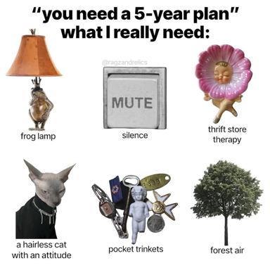 Object-labelling meme contrasting career planning advice with absurdist thrift-store aspirations and vintage aesthetic desires.