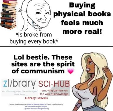Two-panel meme about book acquisition: financial hardship from physical book hoarding vs. celebrating library piracy as political praxis.