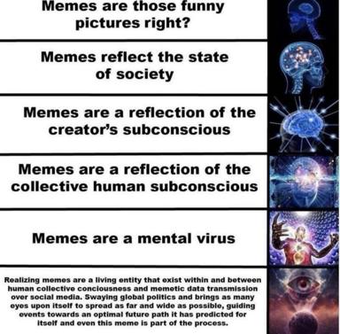 Expanding-brain meme escalating from "memes are funny pictures" to riffing on memes as a living consciousness-shaping entity spreading through social media, paired with increasingly trippy neurological and cosmic imagery.