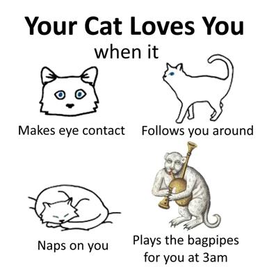 Four-panel meme on cat behavior, ending with a monkey playing bagpipes to explain nocturnal chaos.