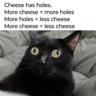 Absurdist cheese paradox meme with a bewildered black cat's horrified stare as the punchline