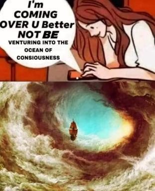 Two-panel meme: anxious figure warns against venturing into consciousness; bottomless chasm opens below, a lone ship drifting toward light.
