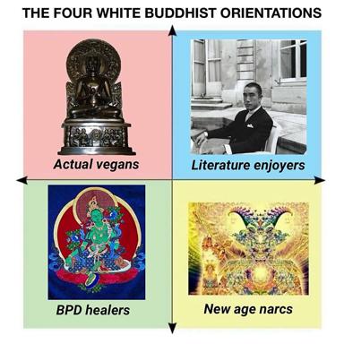 Four-quadrant typology of Western Buddhist practitioners, from austere authenticity (actual vegans) through literary dilettantes, spiritual opportunists (BPD healers) to psychedelic appropriators (new-age narcissists).