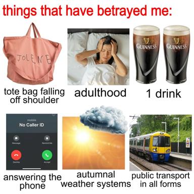 A six-panel humour grid titled "things that have betrayed me" riffing on distinctly British failures: cheap tote bags, adulting, Guinness hangovers, missed calls, autumn rain, and chronically unreliable trains.