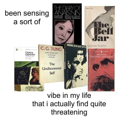 A meme pairing introspective literary classics (Jung, Nin, Sartre, Plath) with self-aware anxiety about one's own reading habits and intellectual pretension.