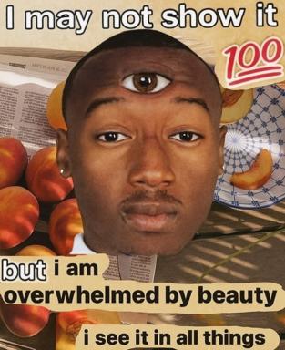 A surreal collage of a man's face with three wide-open eyes surrounded by peaches, newspapers, and a "100" emoji; text captions express simultaneously denying and admitting to being overwhelmed by beauty.