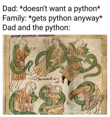 Medieval manuscript illustration hijacked as a family-pet meme: dad resists, family insists, dad and the python bond chaotically.