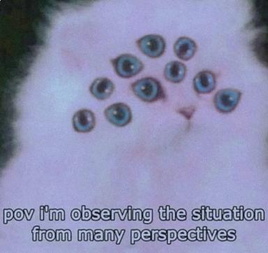 A close-up of a white cat's face surrounded by multiple cartoon eyes representing different vantage points; bottom text reads "pov i'm observing the situation from many perspectives"