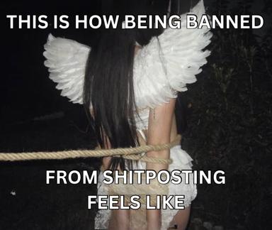 Dark humor meme: figure with white feathered angel wings bound by rope, captioned "this is how being banned from shitposting feels like"—internet culture meets religious imagery.