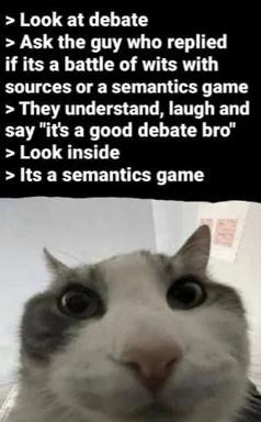A meta-debate meme: the text deconstructs the structure of argument (sources → semantics game), and the cat's wide-eyed stare delivers the punchline of revelation.