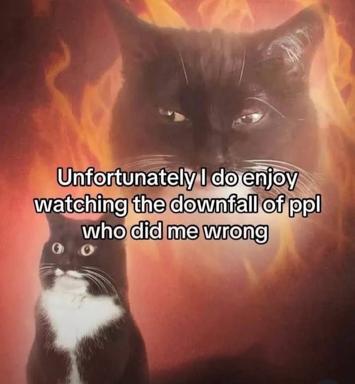 Two-panel cat meme: menacing black cat looms over a smaller innocent cat, both framed in fire-orange lighting. The text confesses to enjoying schadenfreude when people who wronged you experience consequences.