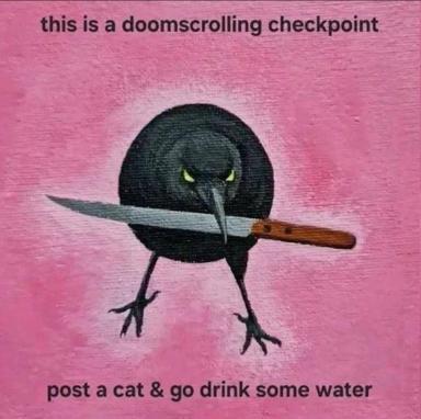 A menacing black bird with glowing yellow eyes holds a chef's knife against a hot-pink textured background, flanked by existential gaming commentary.