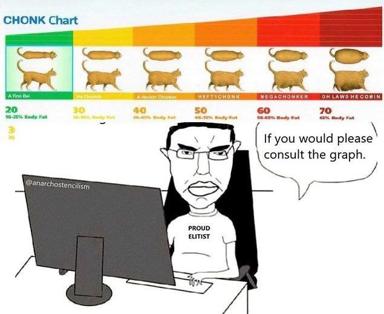 A pedantic internet user consults a satirical cat body-fat chart to lecture someone on feline weight classifications — internet smugness as performance art.