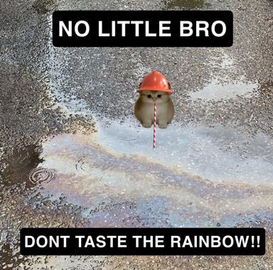 Cartoon cat in hard hat stands in a street puddle, lollipop in mouth, warned not to taste the rainbow.