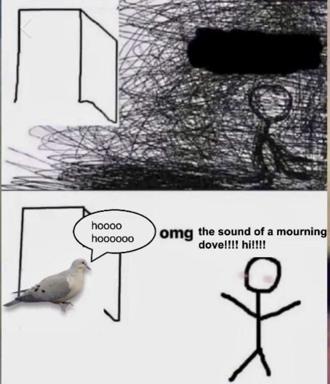 Two-panel meme: reading triggers chaotic thoughts (top); stick figure discovers the mourning call of a dove and is weirdly excited about it (bottom).