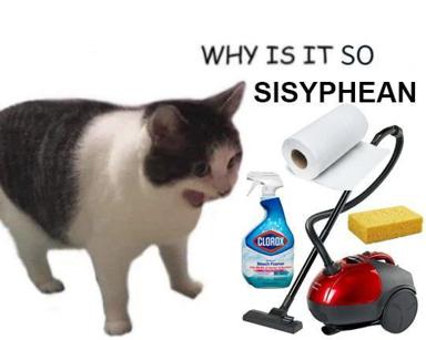 A cat contemplates the Sisyphean cycle of household cleaning supplies — paper towels, disinfectant, sponge, and vacuum arranged in a visual pun on futile, endless labor.
