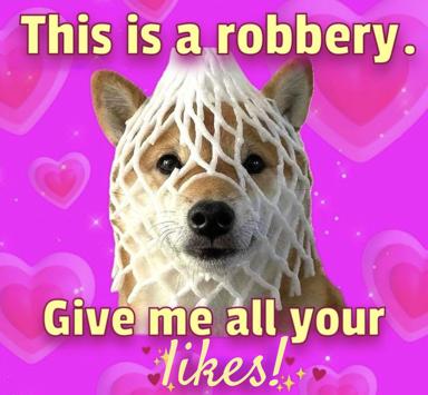 A dog with a comedically overgrown white mop haircut makes a deadpan plea for engagement on a hot-pink background, asking its robbery victim to "give me all your likes."