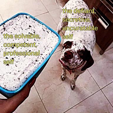 A dog stares up at a serving dish, labeled with the divide between professional and defiant selves.