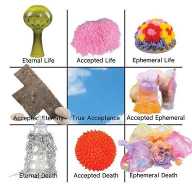 3×3 grid meme: life and death modes paired with surreal object aesthetics — from crystal orbs to neon-splattered sugar sculptures, each labelled with blunt acceptance-framework claims