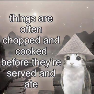 A white cat in a Vietnamese conical hat contemplates the philosophical problem of cooking methods altering the identity of food, set against a moody mountain landscape with snow.
