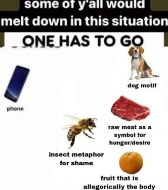 A "pick one to sacrifice" meme deconstructing the emotional symbols underneath a trivial choice: phone, dog, bee, meat, fruit—each labeled with its allegorical meaning (shame, hunger, body, innocence).