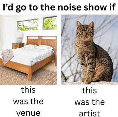 Two-panel meme comparing a mid-century modern bedroom and a serious tabby cat as the venue and artist for a (implied) music show — a joke about aesthetic disappointment.
