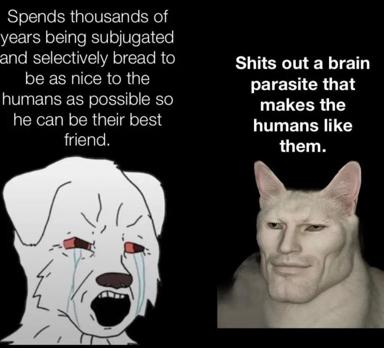 Two-panel parasitology meme: dog bred into servile niceness vs. cat exploiting a mind-control parasite to make humans love them.