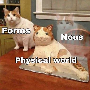 Real cats and a ceramic cat illustrate Platonic philosophy: Forms vs. Physical World vs. Nous.