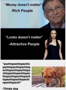 Three-panel comparison meme: wealth and attractiveness denialism vs. a thirsty dog's honest priorities