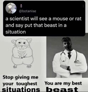 A two-panel meme riffing on the scientist archetype: a plea from a distressed rodent meets a confident doctor ready to take on the challenge.