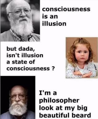 A three-panel meme satirizing philosophical arrogance: a bearded philosopher claims consciousness is an illusion, a child asks a logical follow-up, and he responds by pointing to his beard instead.