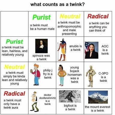 A political-spectrum chart redefining "twink" from strict to absurd interpretations — Spinoza to Mount Everest.