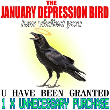 A surreal harbinger meme depicting a black crow with a halo, announcing it has granted the viewer one unnecessary purchase — the January Depression Bird myth, personified.