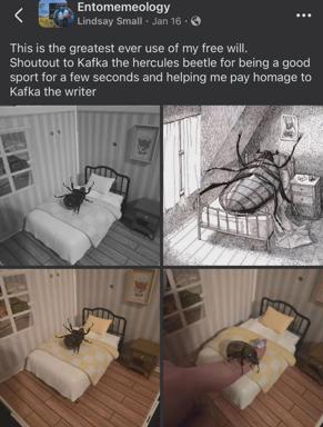 A Substack meme riffing on Kafka's *Metamorphosis*: a giant hercules beetle crawls into a human's bed, so the human climbs in to greet it.