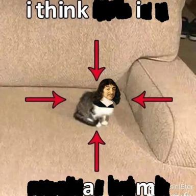 A cat on a couch surrounded by inward-pointing red arrows, with censor bars obscuring accusations—template for blame-shifting memes.