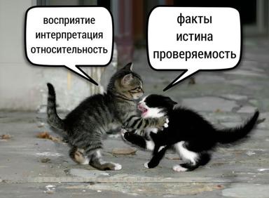 Two kittens debate epistemology: one argues for interpretation and relativity, the other for facts and verifiability.