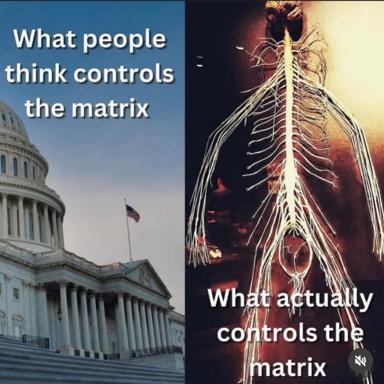 Political meme contrasting perceived government control (Capitol building) with the invisible biological systems (nervous system illustration) that actually shape human behaviour.
