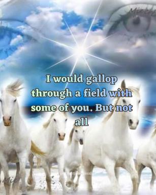 White horses galloping under a blazing sun — a meme of selective admission and romantic rejection.