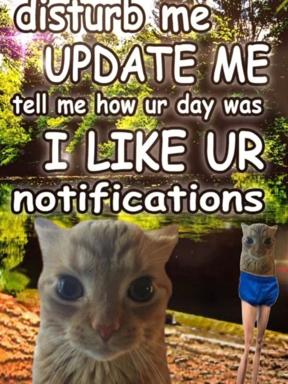 Surreal cat meme: grotesquely enlarged feline faces superimposed on a forest backdrop, asking friends for attention and notifications in absurdist "tell me" format.