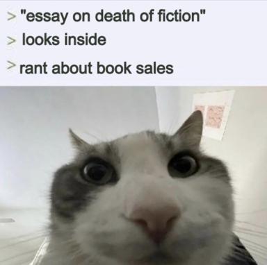 A meme about the gap between essay pretense and actual book industry griping, paired with a cat's wide-eyed bewilderment.